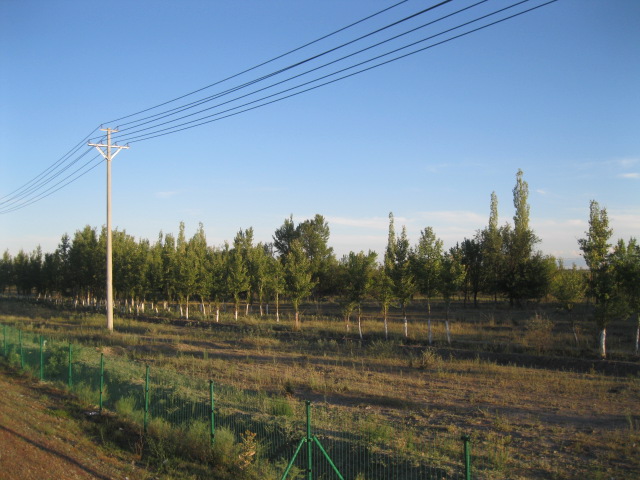 中石油新疆銷售有限公司塔城分公司額敏工業(yè)園區(qū)南加油站新建項(xiàng)目安全預(yù)評(píng)價(jià)報(bào)告